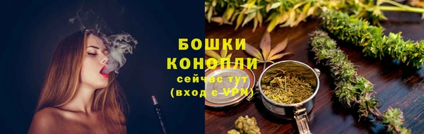 прущие крисы Каменка