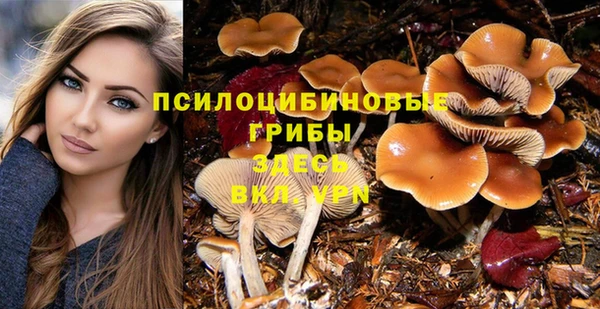 прущие крисы Каменка