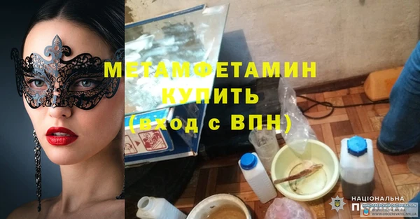 прущие крисы Каменка