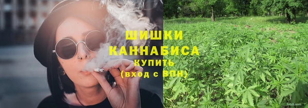 прущие крисы Каменка