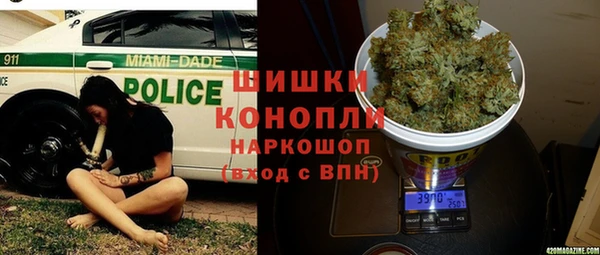 прущие крисы Каменка