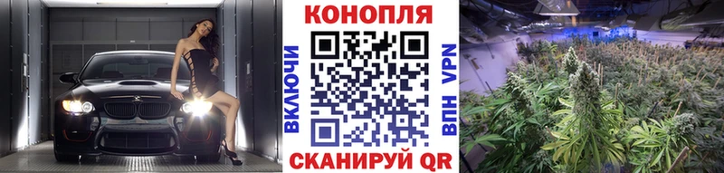 Каннабис марихуана  Купить где  Волгореченск 